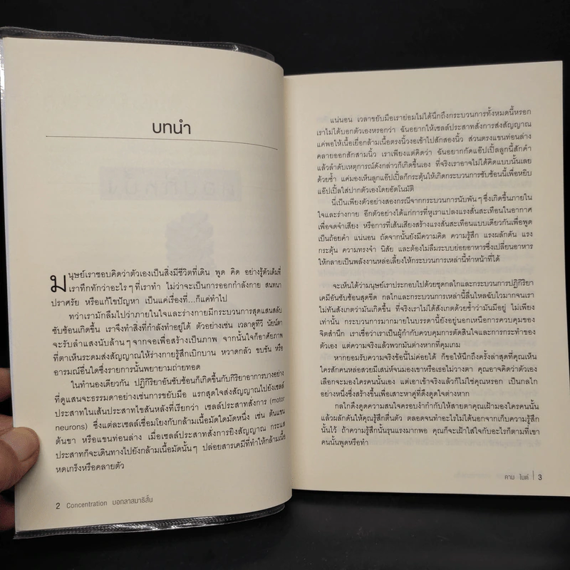 CONCENTRATION บอกลาสมาธิสั้น - คาม ไนต์ (Kam Knight) รูปที่ 7