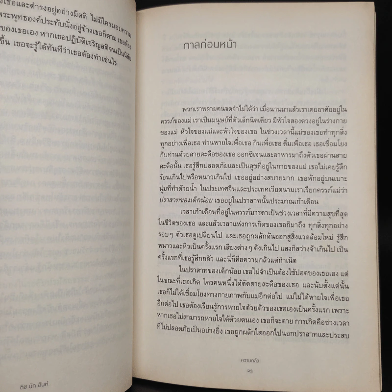 กลัว Fear - ติช นัท ฮันห์ รูปที่ 7