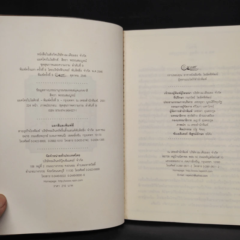 แมคโครไบโอติกส์ Macro Biotics - สิทรา พรรณสมบูรณ์ รูปที่ 5