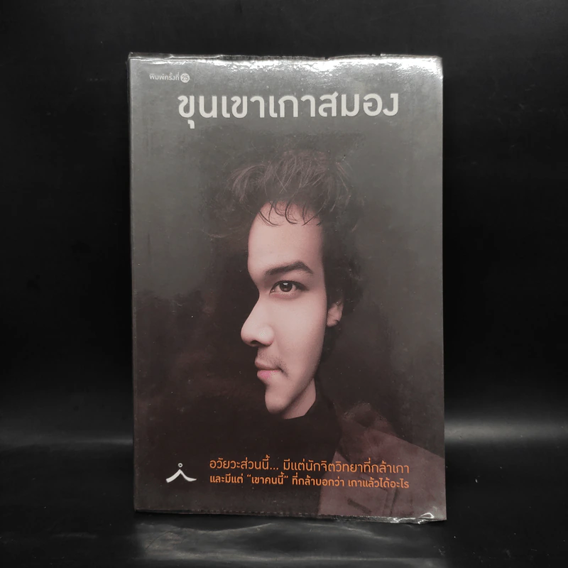 ขุนเขาเกาสมอง - ขุนเขา สินธุเสน รูปที่ 1