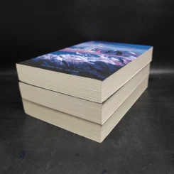 ฉางหลิง เทพสงครามสองชาติภพ 3 เล่มจบ Boxset - หรงจิ่ว (Rong Jiu) รูปที่ 6
