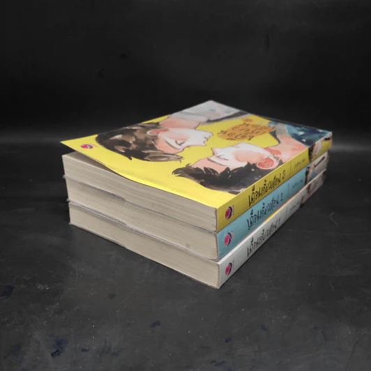 นิยายวาย เดือนเกี้ยวเดือน 3 เล่มจบ + โปสการ์ด + ที่คั่นหนังสือ รูปที่ 4
