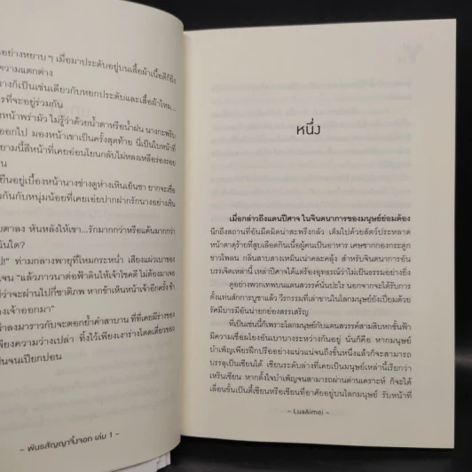 พันธสัญญาจิ้งจอก 2 เล่มจบ - LuaAimei รูปที่ 5