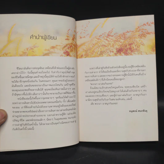 ลาวและนาย Long Way Laos - อนุสรณ์ สนะพันธุ รูปที่ 5