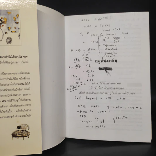 อยู่อย่างเซน - ละเอียด ศิลาน้อย รูปที่ 5