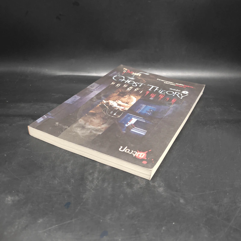Ghost Theory ทฤษฎีขังวิญญาณ - ปองวุฒิ รูปที่ 4