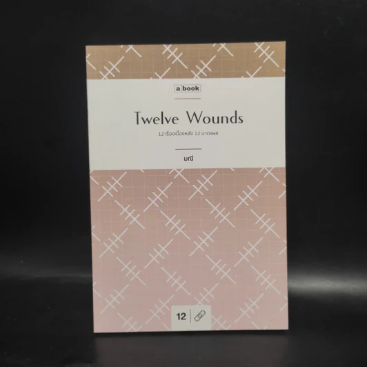 12 Wounds : 12 เรื่องเบื้องหลัง 12 บาดแผล - มณี รูปที่ 1