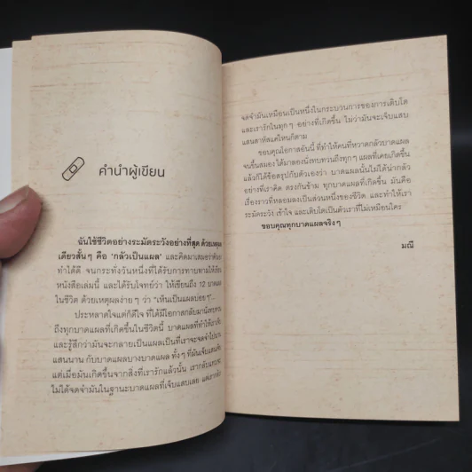 12 Wounds : 12 เรื่องเบื้องหลัง 12 บาดแผล - มณี รูปที่ 5
