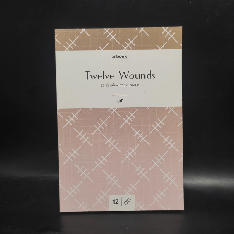 12 Wounds : 12 เรื่องเบื้องหลัง 12 บาดแผล - มณี รูปที่ 1