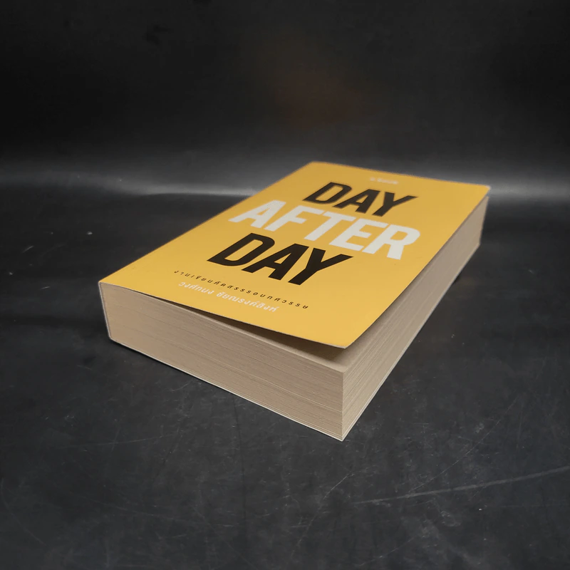 Day After Day - วงศ์ทนง ชัยณรงค์สิงห์ รูปที่ 4