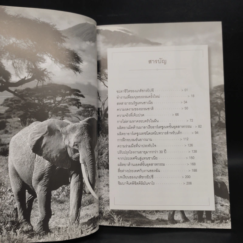 เภสัชกรยิปซี เล่ม 2 - ดร.กฤษณา ไกรสินธุ์ รูปที่ 6