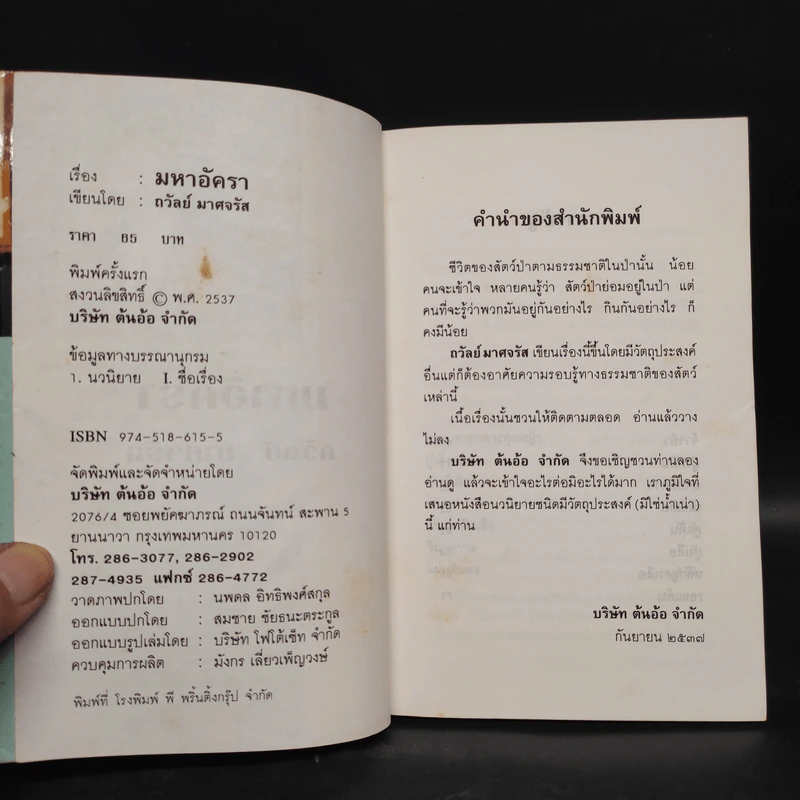 มหาอัครา - ถวัลย์ มาศจรัส รูปที่ 5
