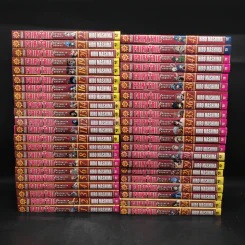 Fairy Tail ศึกจอมเวทอภินิหาร เล่ม 1-43 รูปที่ 2