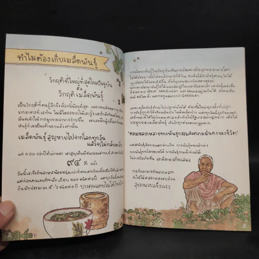 คู่มือเก็บเมล็ดพันธุ์ประจำบ้าน Homemade Seed Saving Thai รูปที่ 5