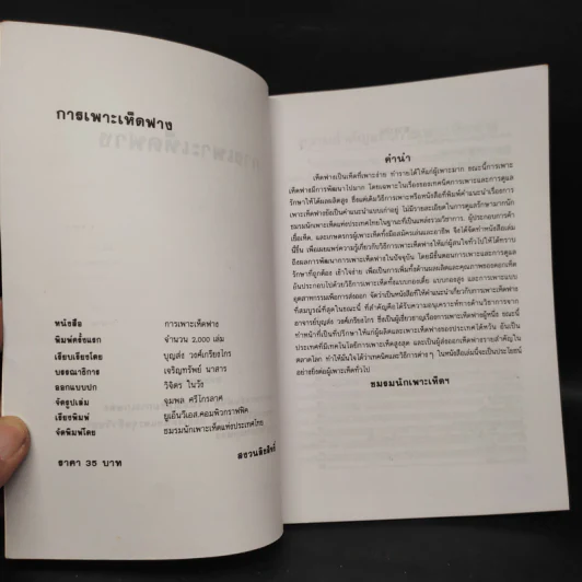 การเพาะเห็ดฟาง - อาจารย์บุญส่ง วงศ์เกรียงไกร รูปที่ 5