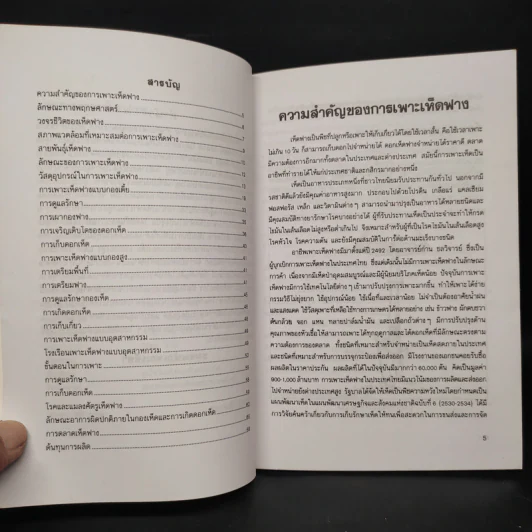 การเพาะเห็ดฟาง - อาจารย์บุญส่ง วงศ์เกรียงไกร รูปที่ 6