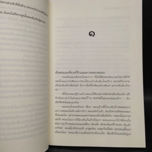 เพชรประดับใจ - แรบบิท รูปที่ 6