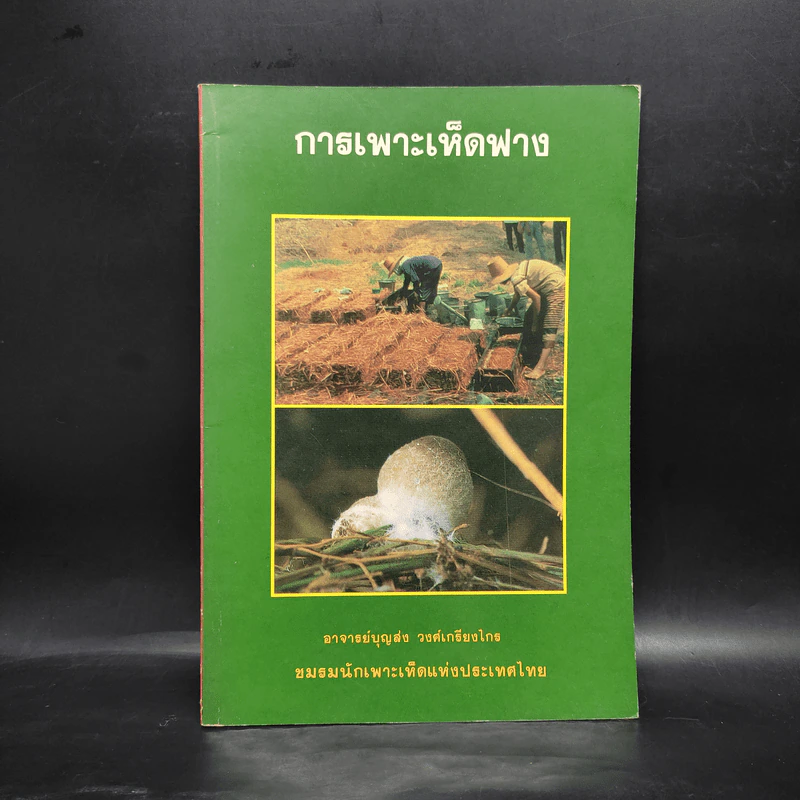 การเพาะเห็ดฟาง - อาจารย์บุญส่ง วงศ์เกรียงไกร รูปที่ 1