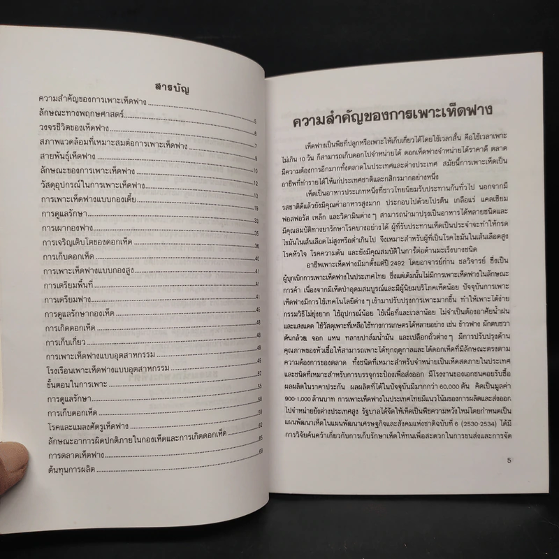 การเพาะเห็ดฟาง - อาจารย์บุญส่ง วงศ์เกรียงไกร รูปที่ 6