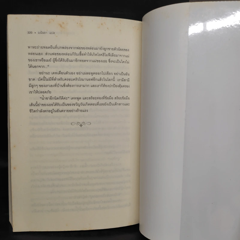 วาระสุดท้ายของซาร์นิโคลัสที่ 2 คำให้การของเด็กรับใช้ในห้องเครื่อง - Robert Alexander รูปที่ 7