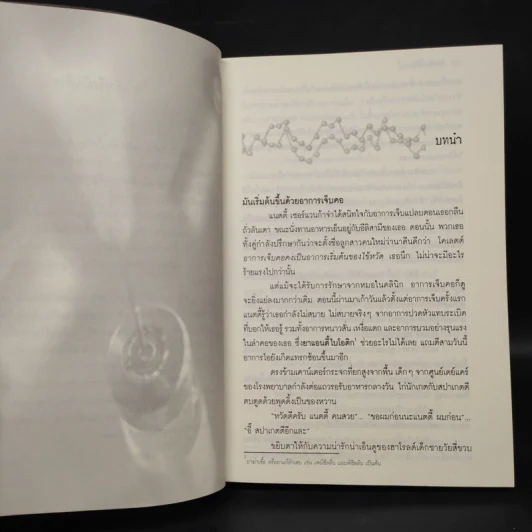 วัคซีนมรณะ - Michael Palmer รูปที่ 6