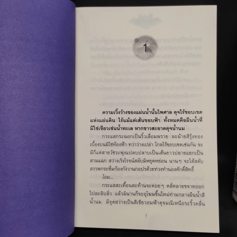 บาดาล 2 เล่มจบ - ลักษณวดี รูปที่ 6