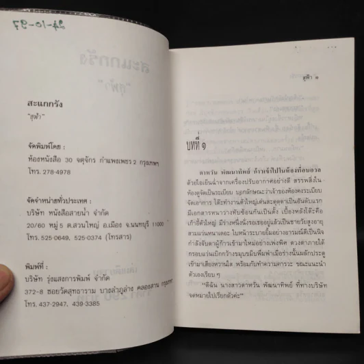 สะแกกรัง - สุฟ้า รูปที่ 6