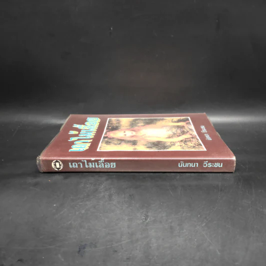 เถาไม้เลื้อย - นันทนา วีระชน รูปที่ 3