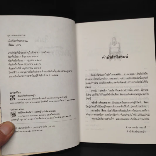 เม็ดข้าวที่ขอบจาน - สีมน รูปที่ 5
