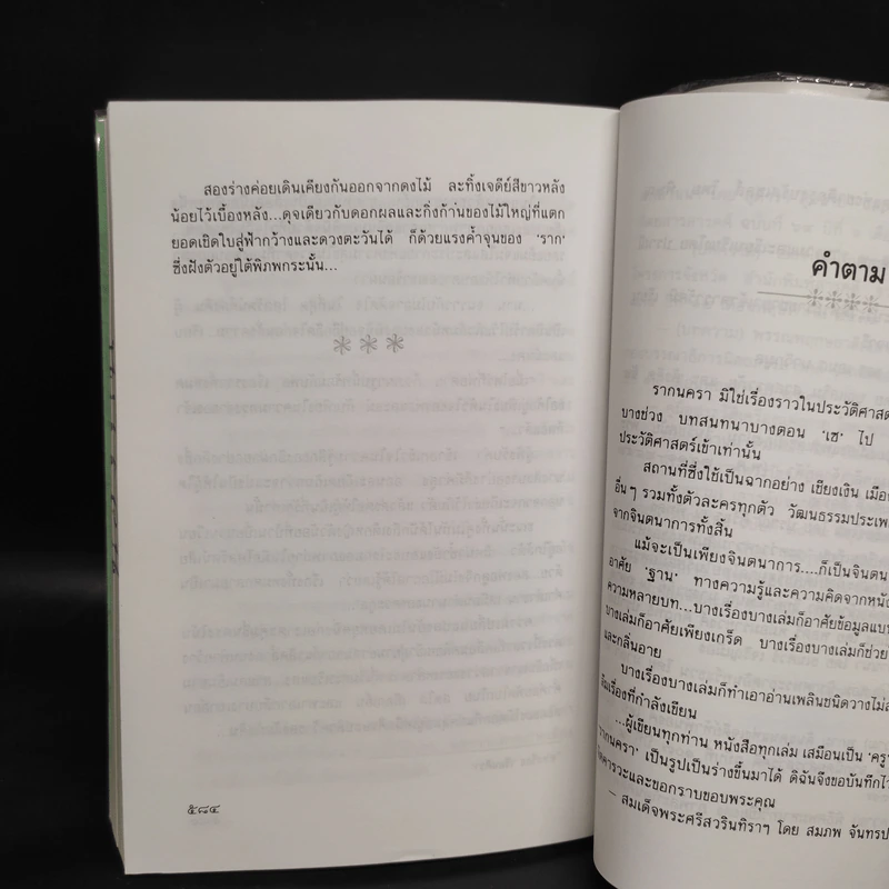 รากนครา - ปิยะพร ศักดิ์เกษม รูปที่ 8