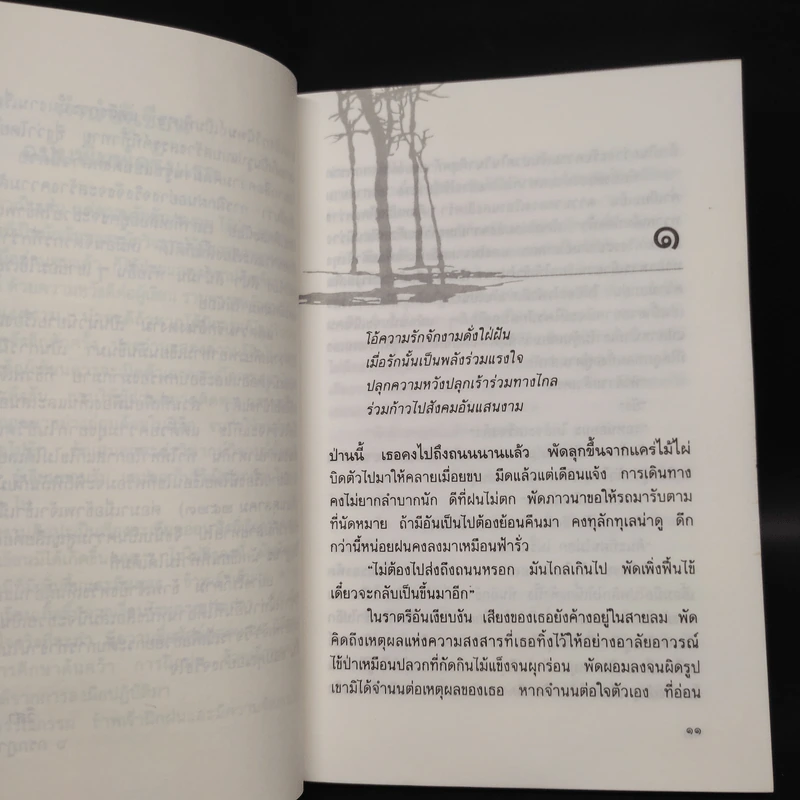 แด่ความรักอันงดงาม - วิสา คัญทัพ รูปที่ 7