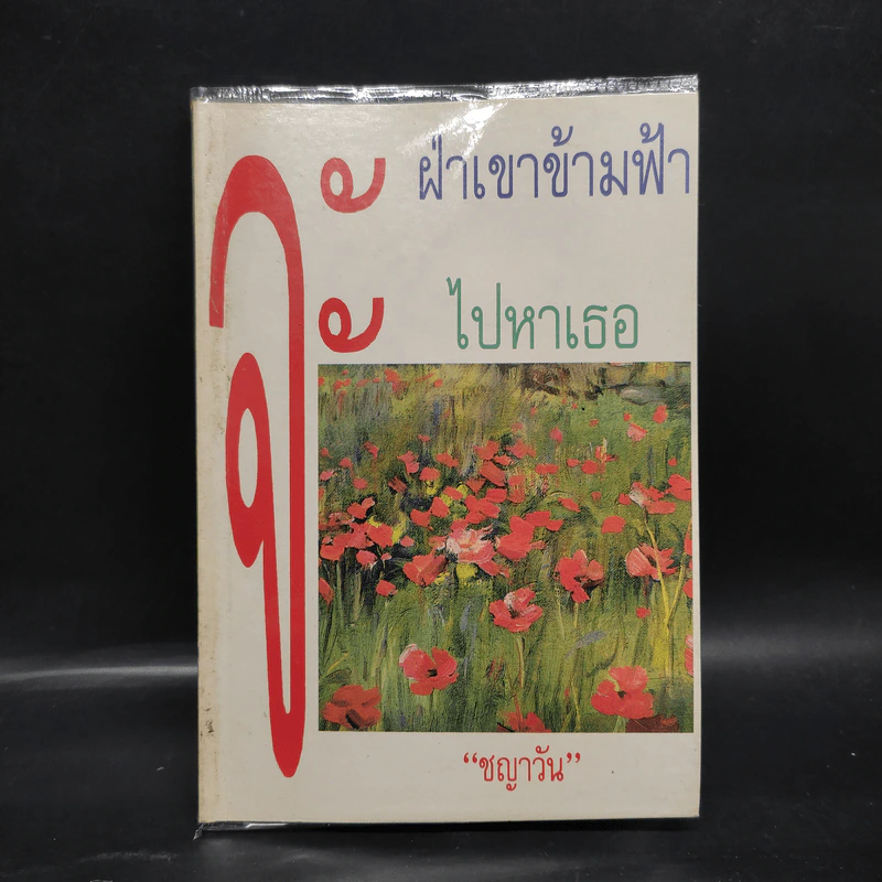 จะฝ่าเขาข้ามฟ้าไปหาเธอ - ชญาวัน รูปที่ 1