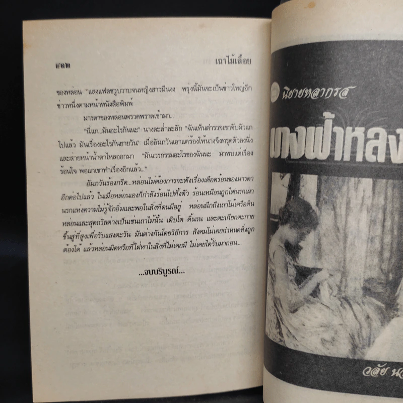 เถาไม้เลื้อย - นันทนา วีระชน รูปที่ 6