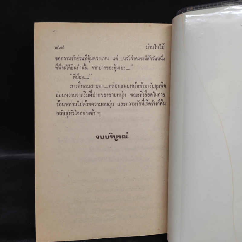 ม่านใบไม้ - นันทนา วีระชน รูปที่ 6