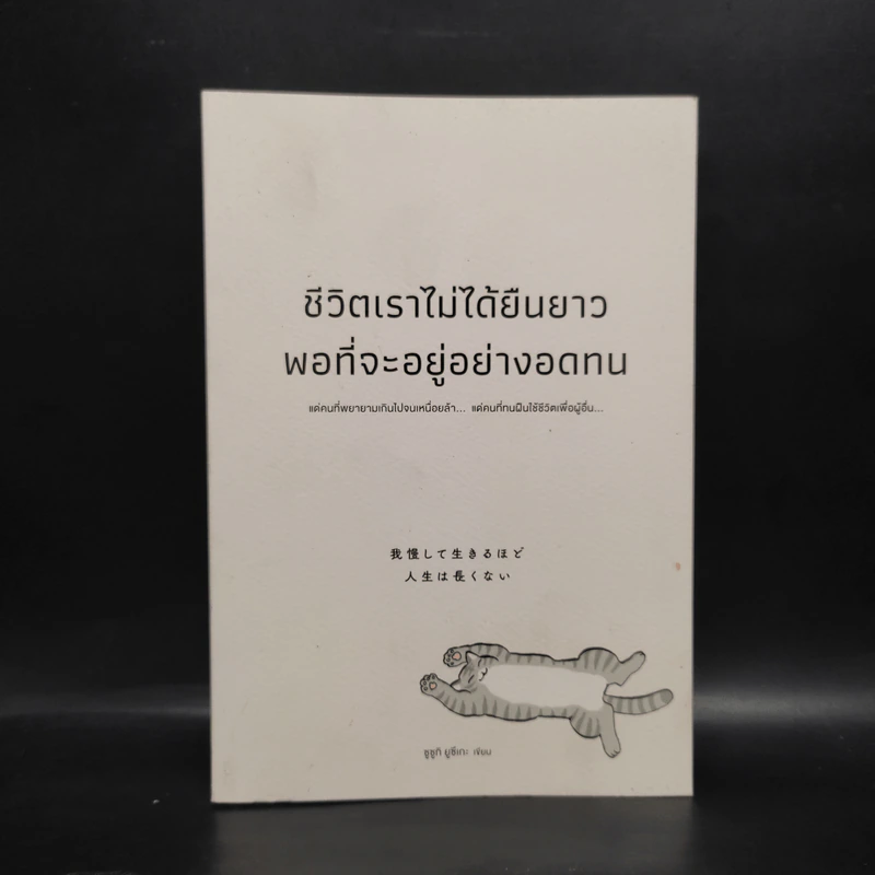 ชีวิตเราไม่ได้ยืนยาวพอที่จะอยู่อย่างอดทน - ซูซูกิ ยูซึเกะ รูปที่ 1