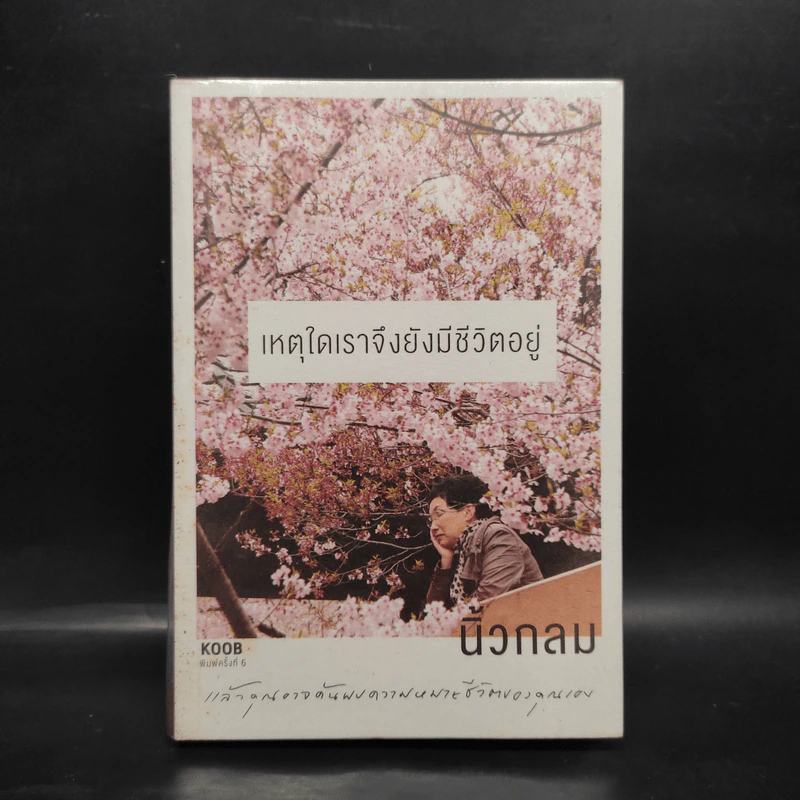 เหตุใดเราจึงยังมีชีวิตอยู่ - นิ้วกลม รูปที่ 1