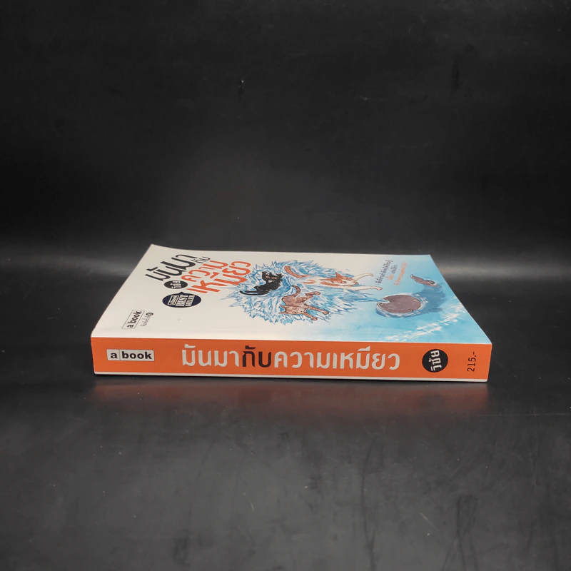 มันมากับความเหมียว - วิชัย รูปที่ 3