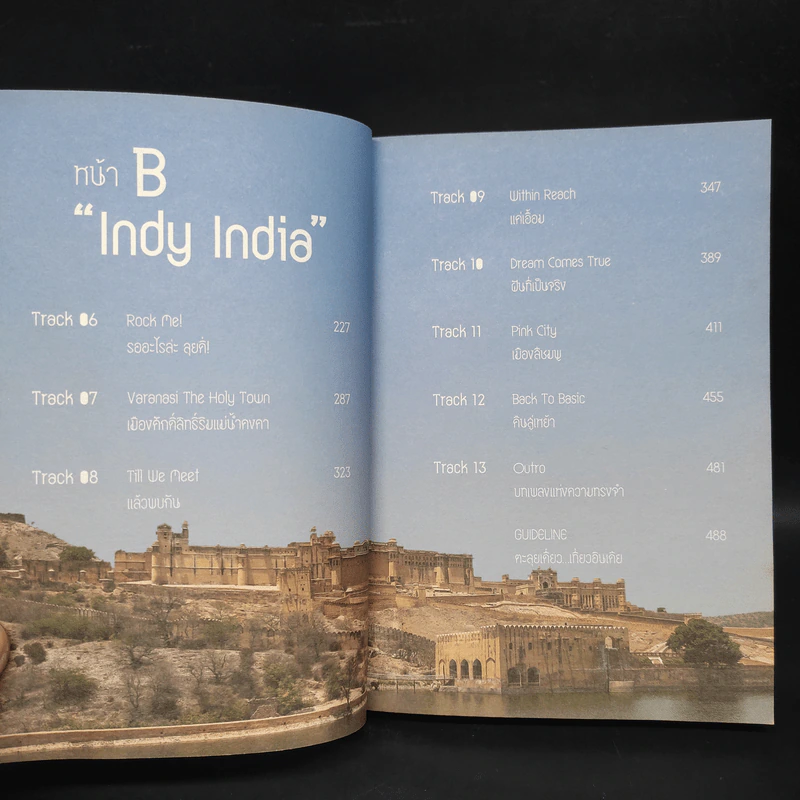 INDY INDIA สองเท้า-เกาโลก - ปองพล วาทะกุล รูปที่ 6