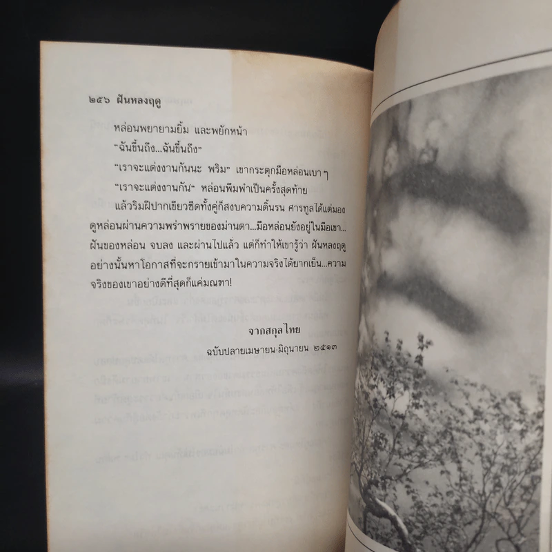 อาจจะเป็นเพราะฉันเหงา - กฤษณา อโศกสิน รูปที่ 8