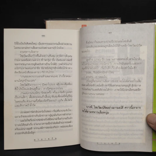 มายาตวัน 2 เล่มจบ - กิ่งฉัตร รูปที่ 8