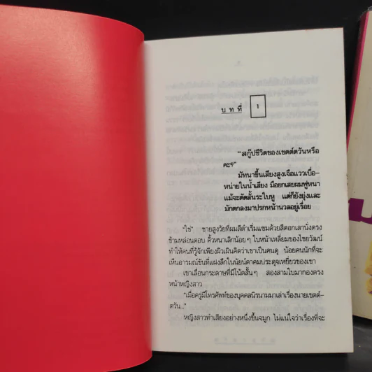 มายาตวัน 2 เล่มจบ - กิ่งฉัตร รูปที่ 6
