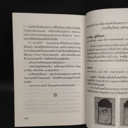 วิมานมะพร้าว - แก้วเก้า รูปที่ 7