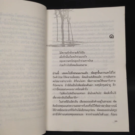 แด่ความรักอันงดงาม - วิสา คัญทัพ รูปที่ 6