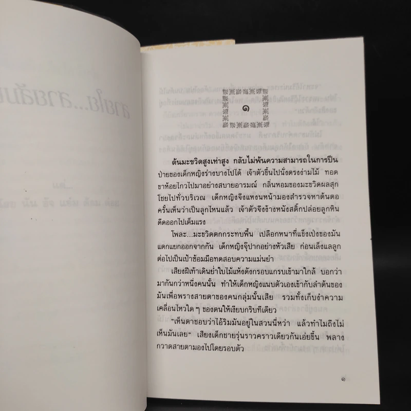 สายใย...สายสัมพันธ์ - นุสมล รูปที่ 6