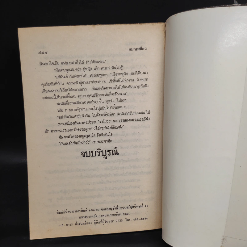 แมวเหมียว - นลิน บุษกร รูปที่ 6