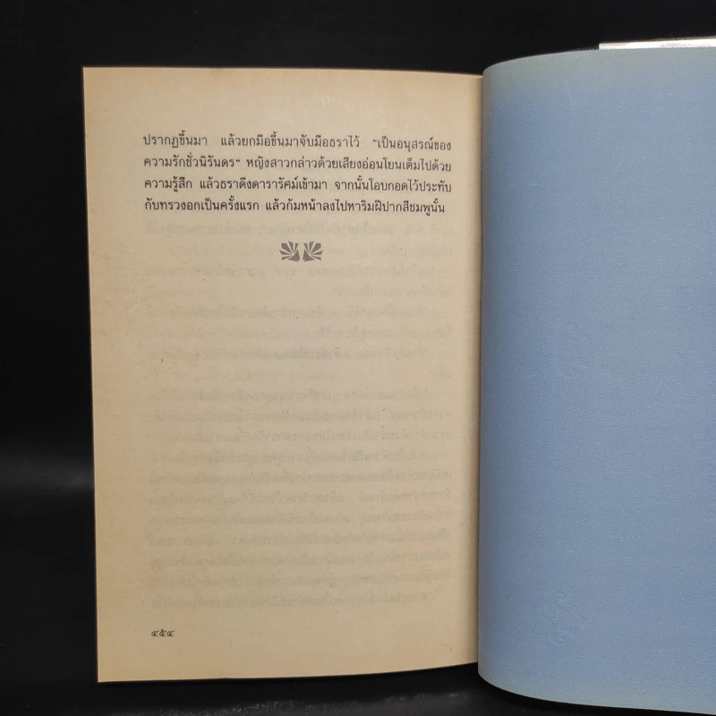 ชั่วนิรันดร - สุรพงษ์ บุนนาค รูปที่ 7