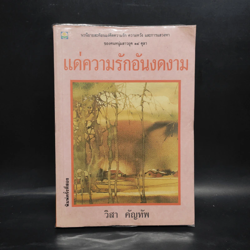 แด่ความรักอันงดงาม - วิสา คัญทัพ รูปที่ 1
