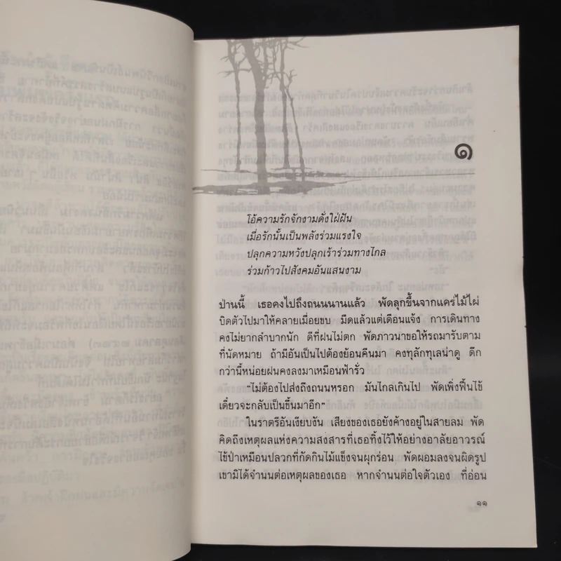แด่ความรักอันงดงาม - วิสา คัญทัพ รูปที่ 6