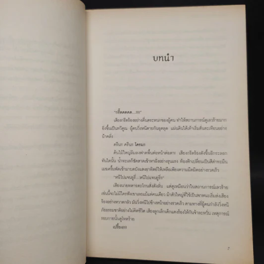 อัญมณีในเงาหมอก เล่ม 1 - Lil'z รูปที่ 6