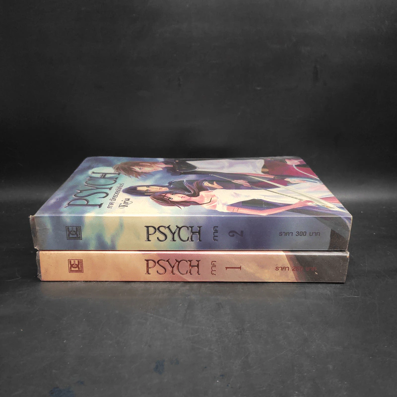 PSYCH ภาค 1 มหาวิหารแห่งไซค์ + ภาค 2 จักรวรรดิเกียร์ - Kiria รูปที่ 3